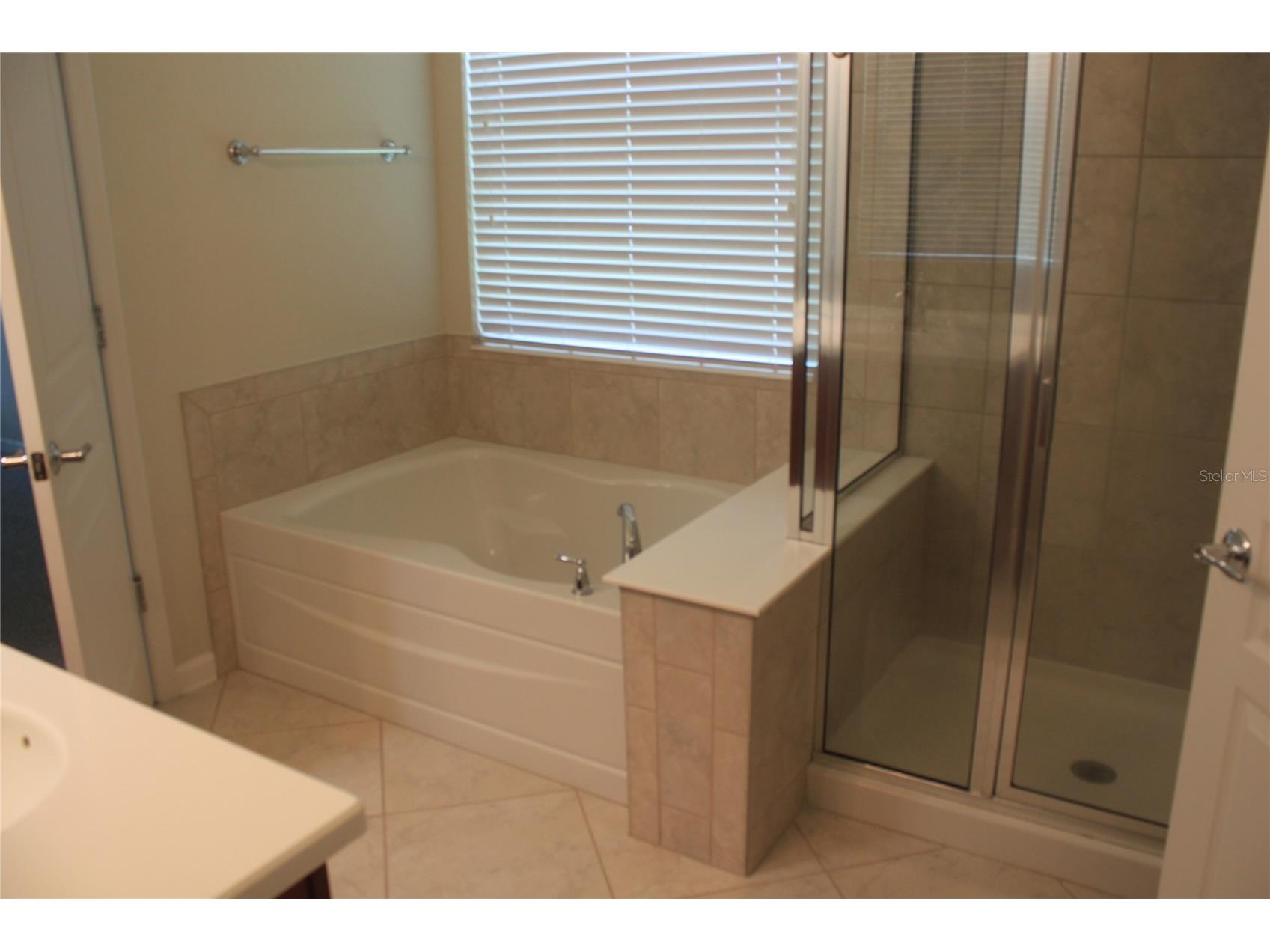 7730 Brofield Avenue Windermere FL 34786 O6425622 image10
