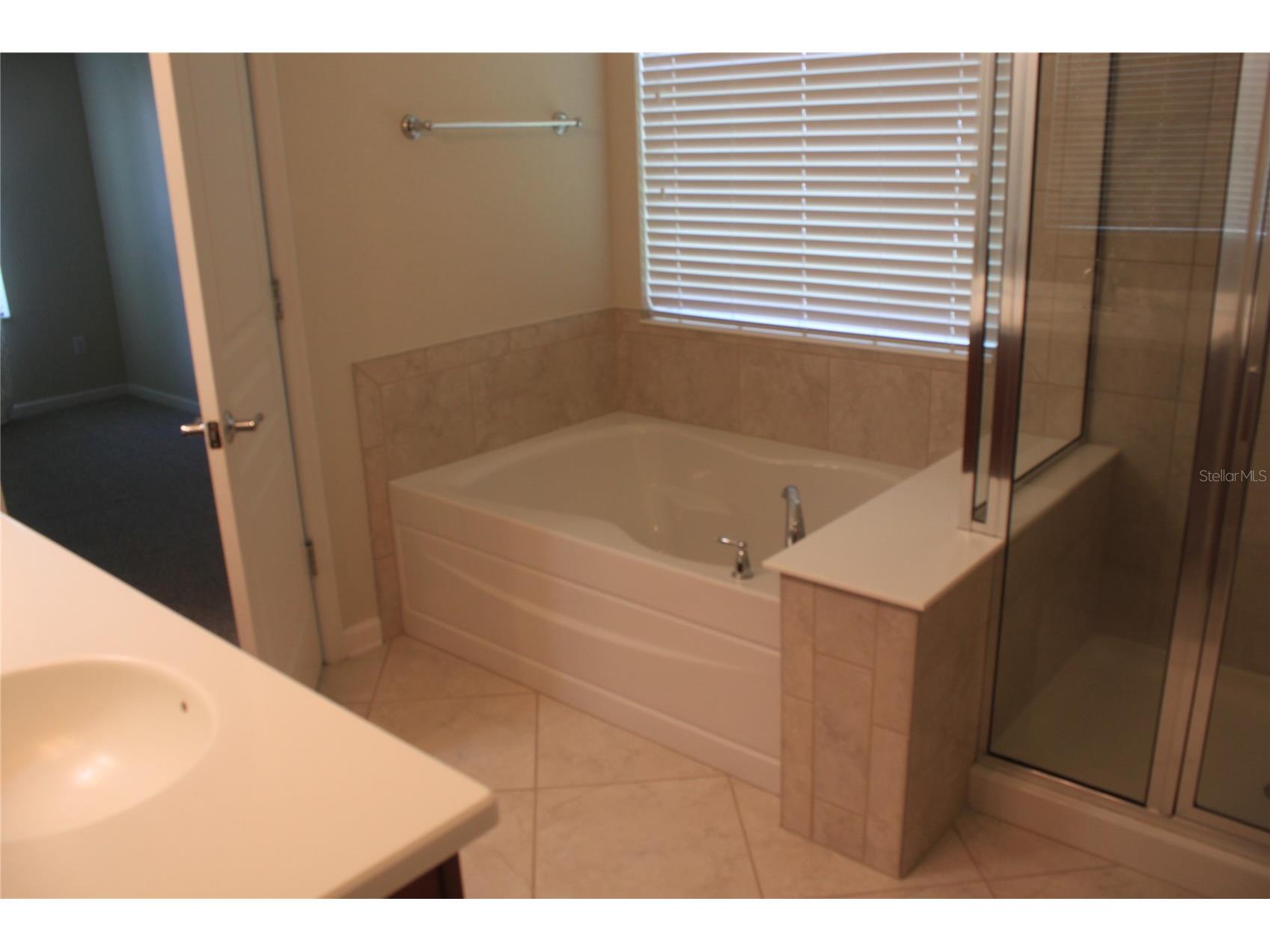 7730 Brofield Avenue Windermere FL 34786 O6425622 image11