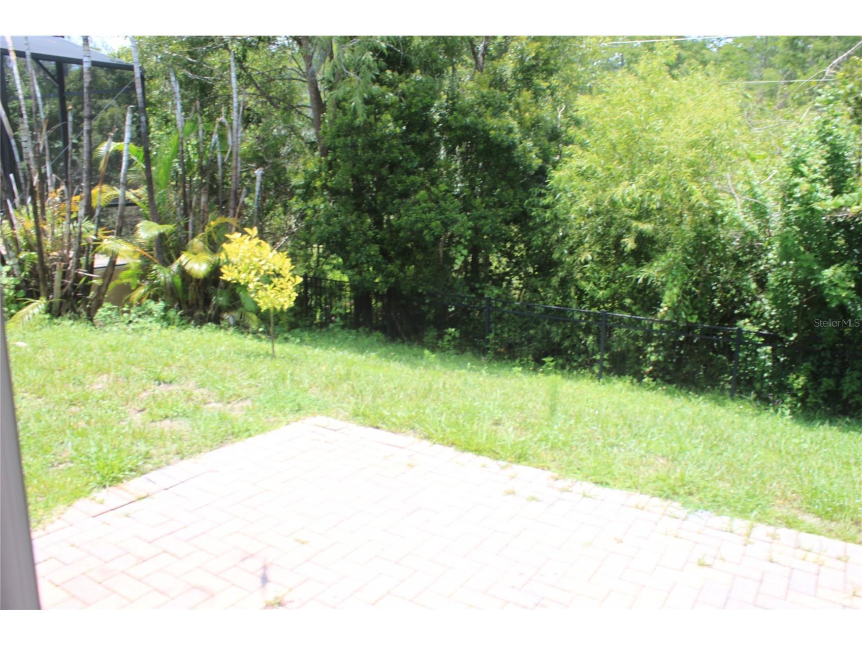 7730 Brofield Avenue Windermere FL 34786 O6425622 image16