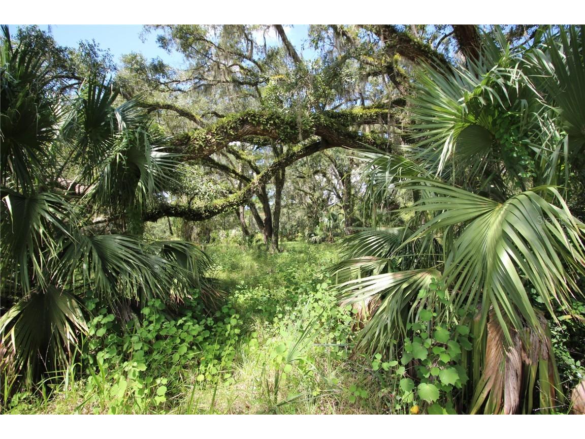 7730 SE 3rd Terrace Inglis FL 34449 OM711086 image1