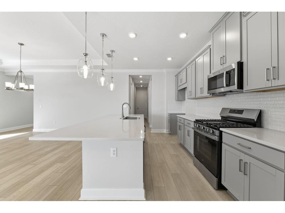 7731 Caspian Street Palmetto FL 34221 TB8425371 image5