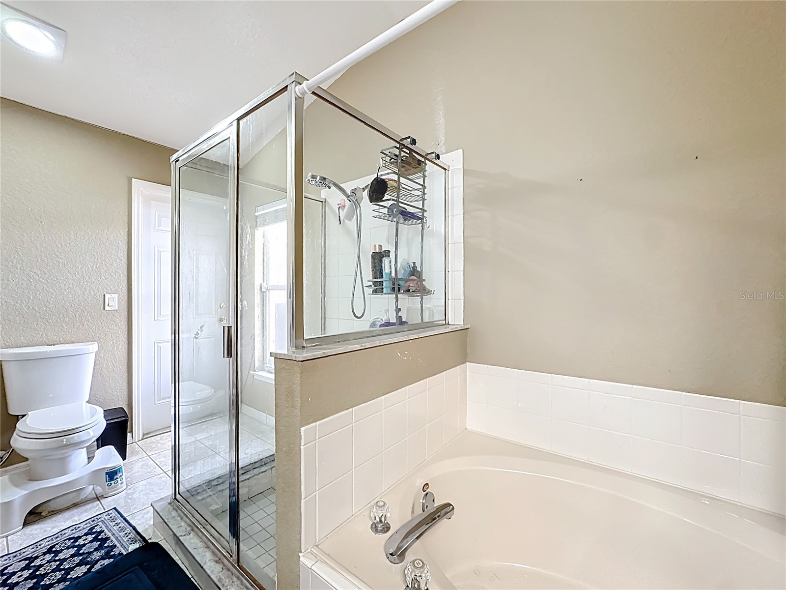 7732 Hidden Cypress Drive Orlando FL 32822 S5143987 image17