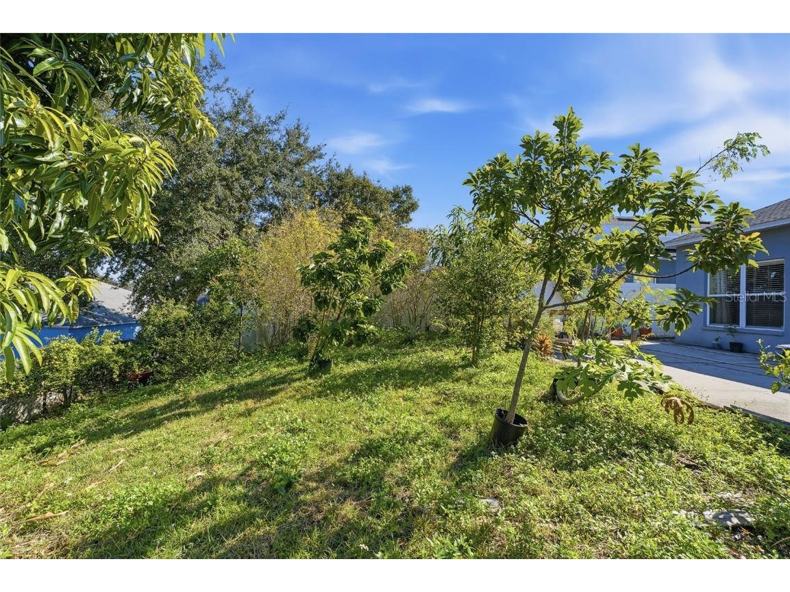 7733 Beridale Court Orlando FL 32818 S5138505 image38