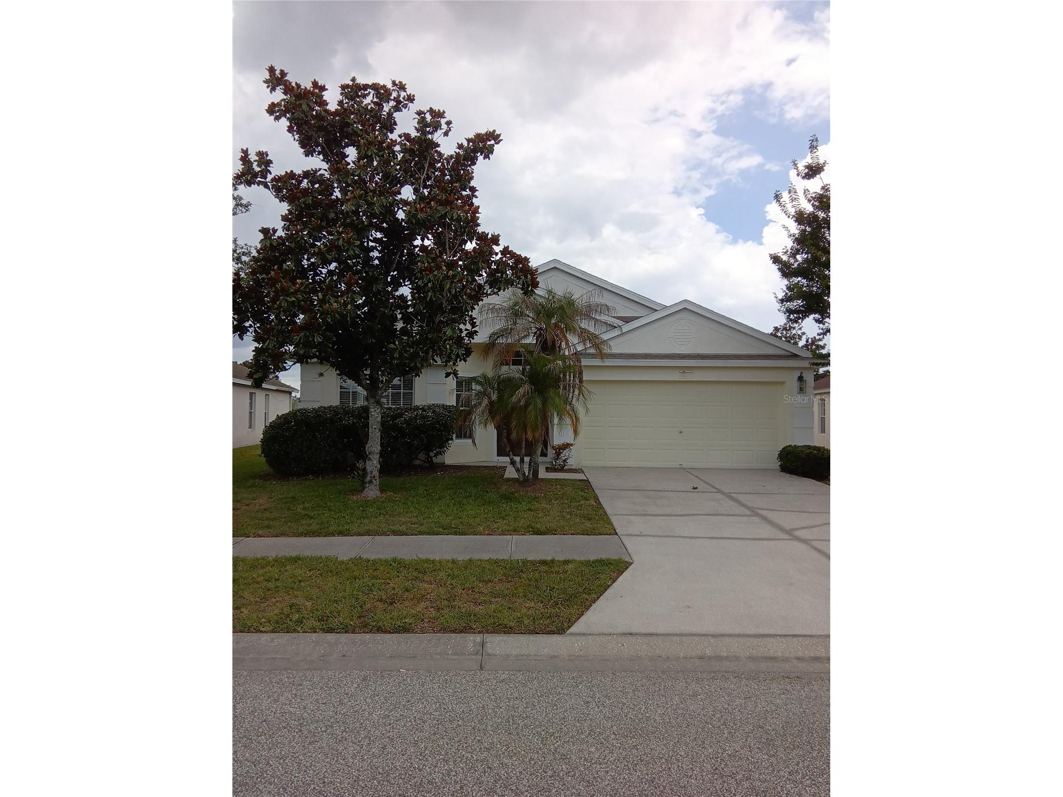 7733 Outerbridge Street Wesley Chapel FL 33545 TB8519038 image1