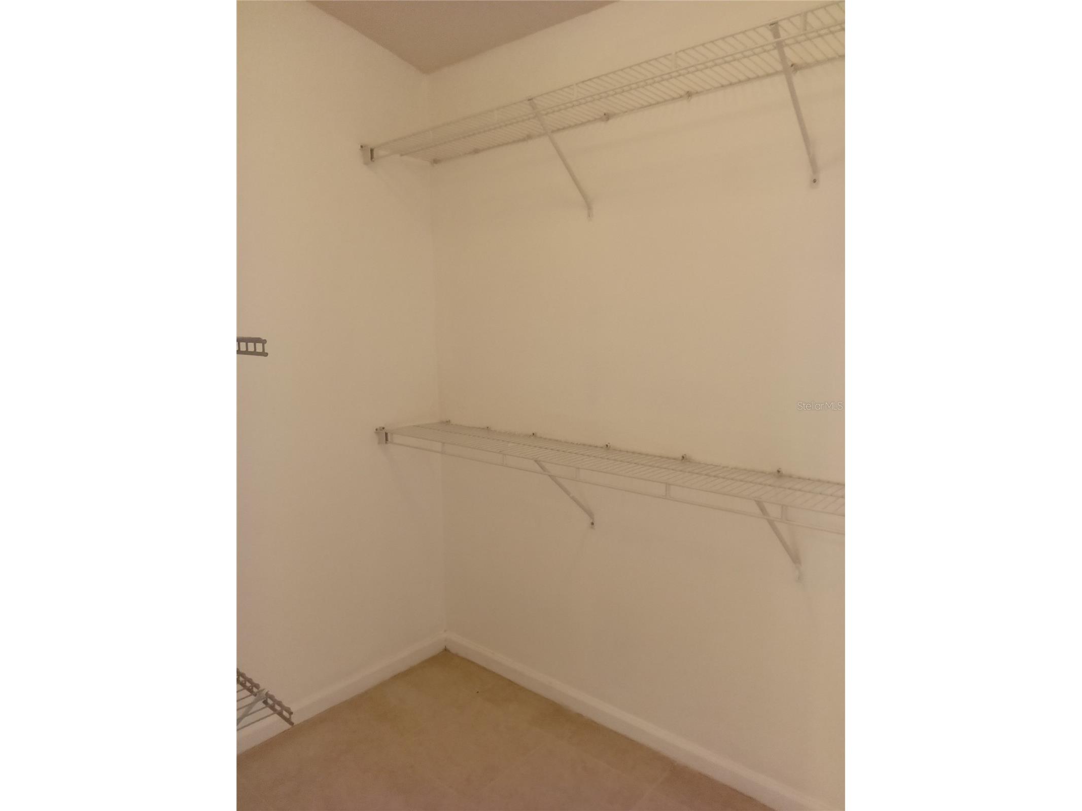 7733 Outerbridge Street Wesley Chapel FL 33545 TB8519038 image12