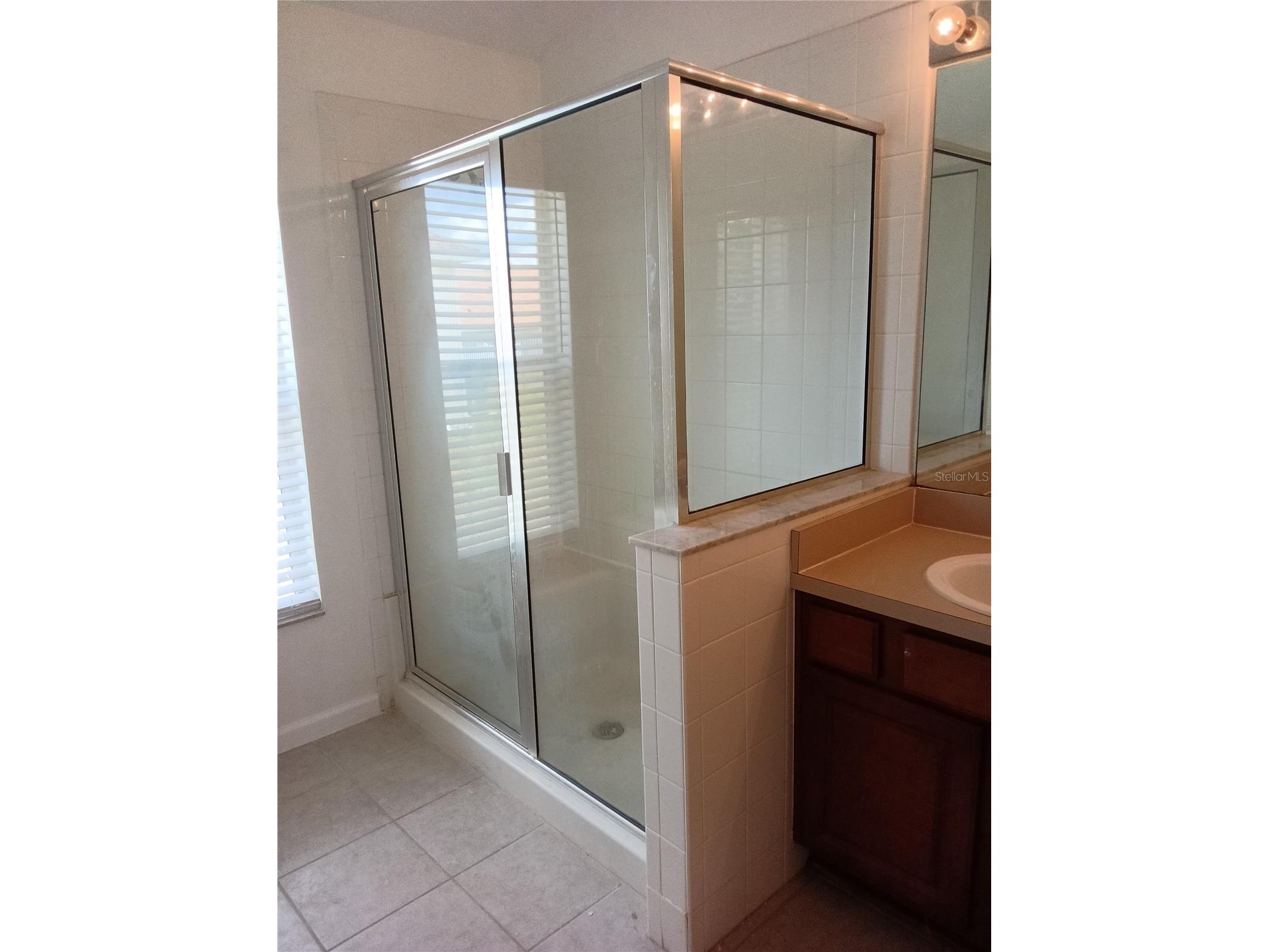 7733 Outerbridge Street Wesley Chapel FL 33545 TB8519038 image14
