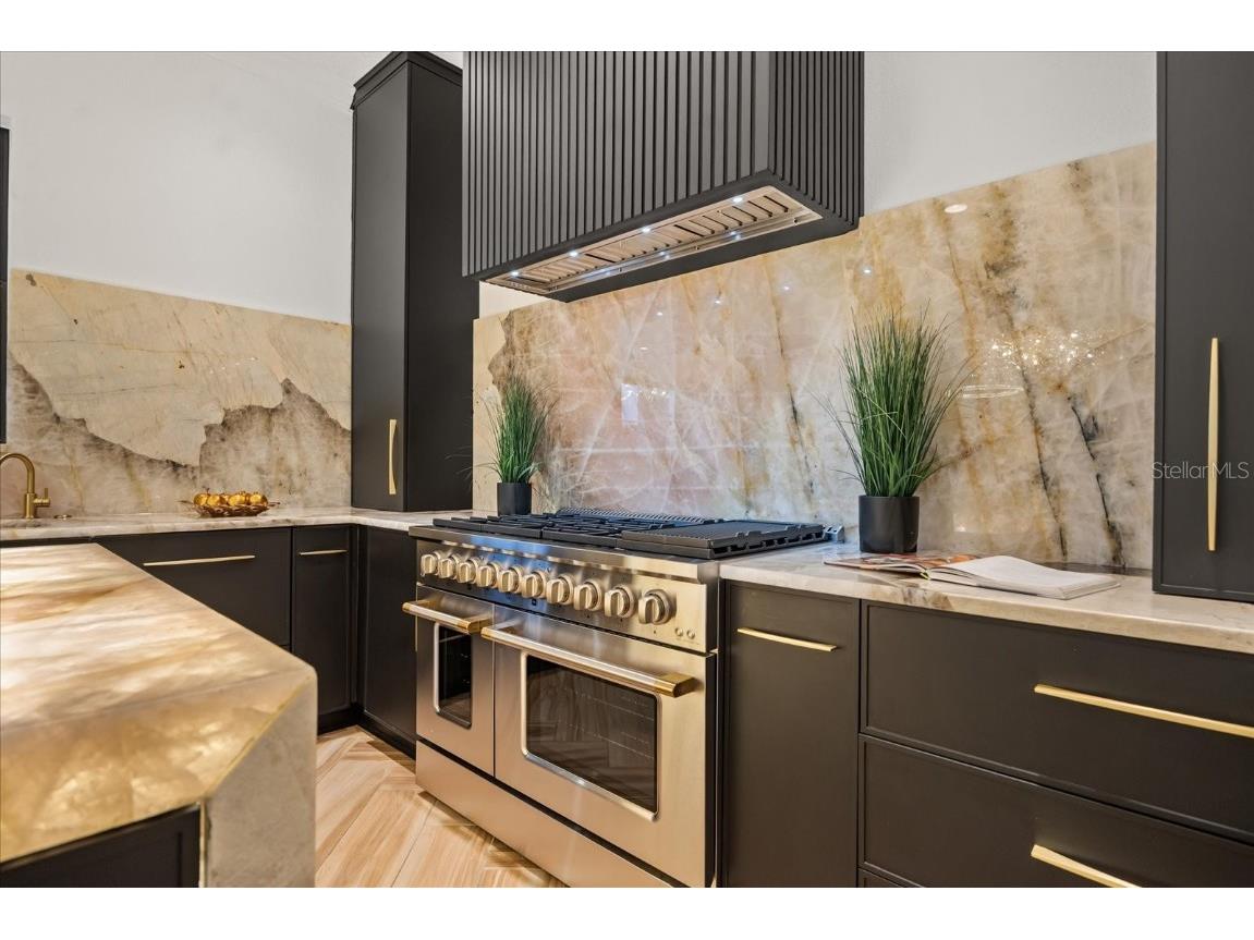 7733 Pointe Venezia Drive Orlando FL 32836 O6321855 image29