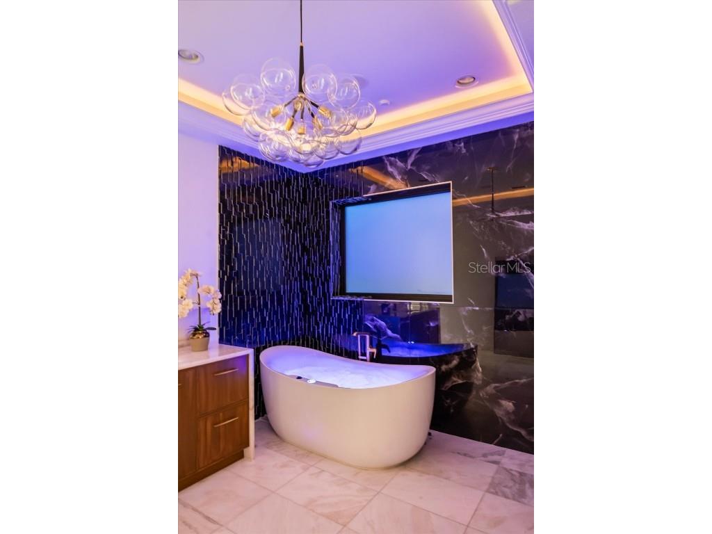 7733 Pointe Venezia Drive Orlando FL 32836 O6321855 image42