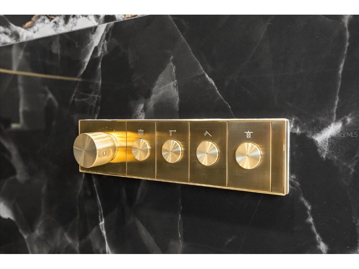 7733 Pointe Venezia Drive Orlando FL 32836 O6321855 image46