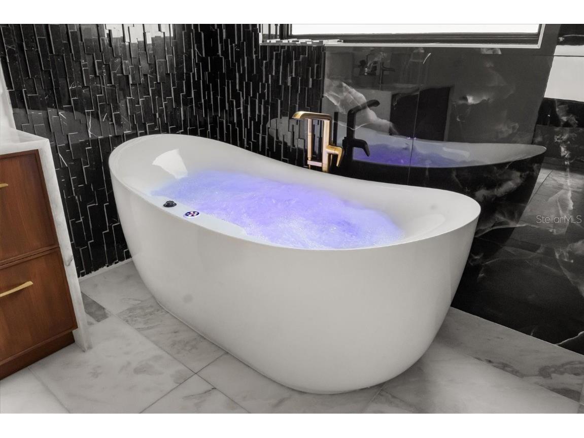 7733 Pointe Venezia Drive Orlando FL 32836 O6321855 image47