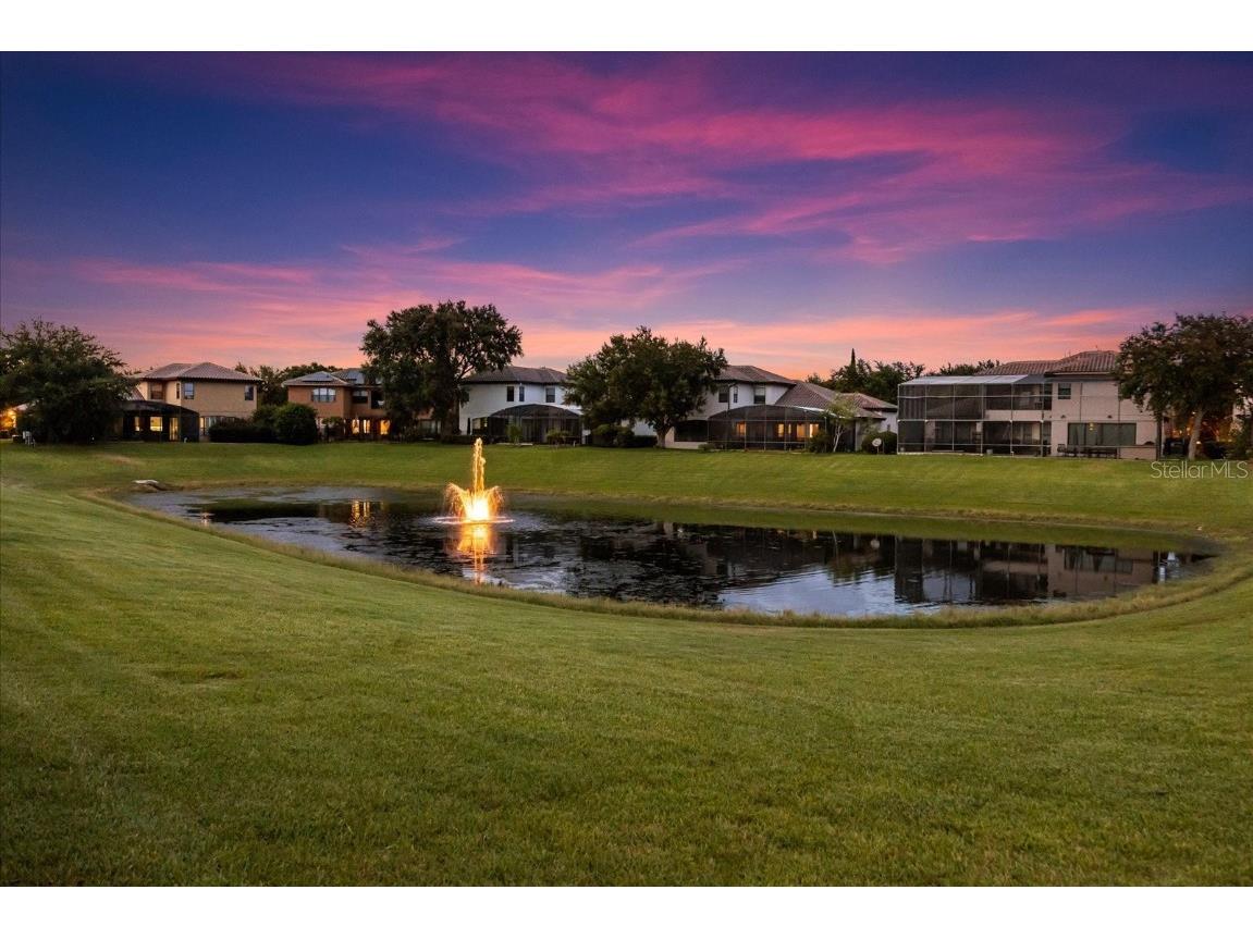 7733 Pointe Venezia Drive Orlando FL 32836 O6321855 image79