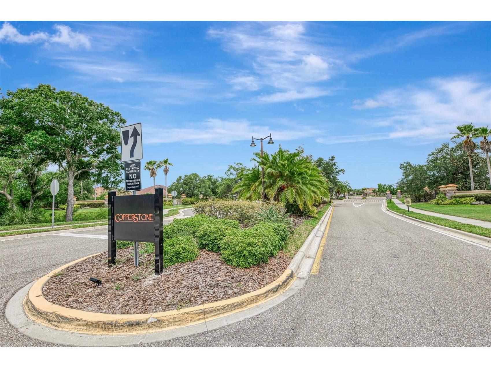 7734 108th Avenue Circle E Parrish FL 34219 N6144526 image87