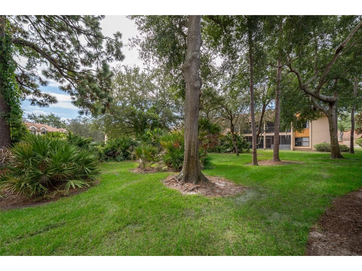 7734 Sugar Bend Drive #7734 Orlando FL 32819 S5131428 image25