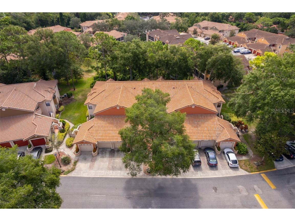 7734 Sugar Bend Drive #7734 Orlando FL 32819 S5131428 image26