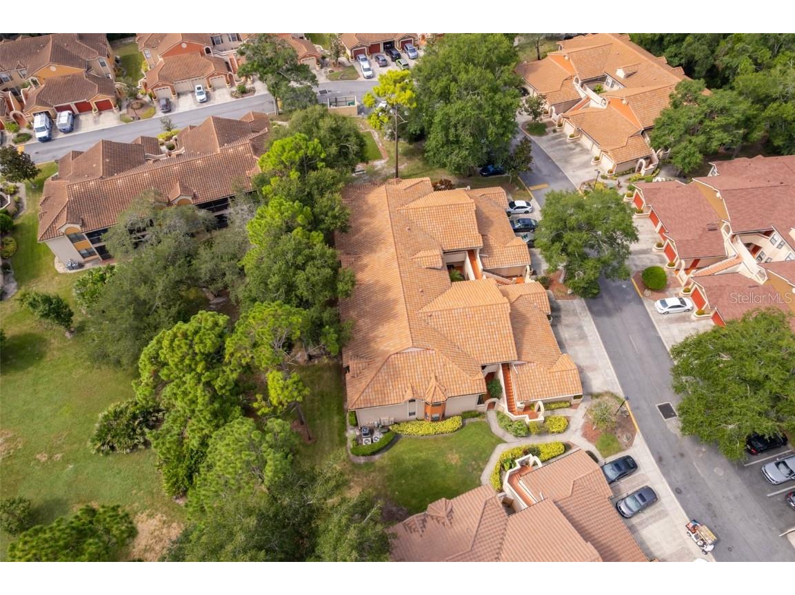 7734 Sugar Bend Drive #7734 Orlando FL 32819 S5131428 image29