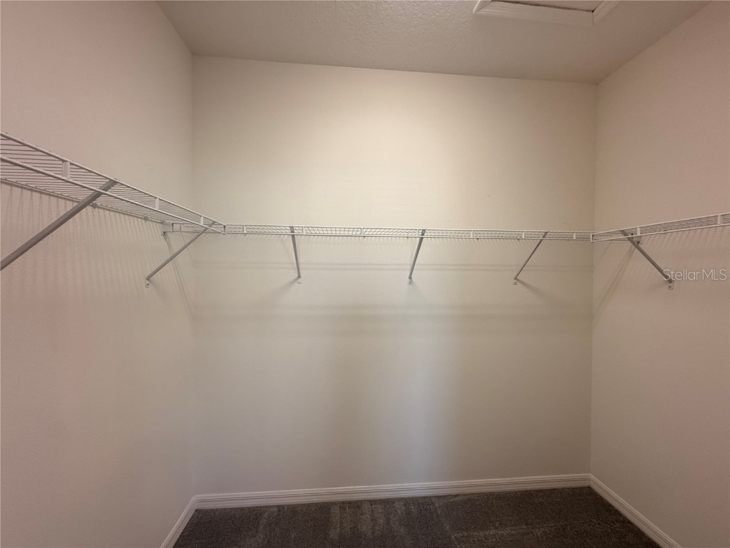 7736 Bowery Drive Winter Garden FL 34787 O6363178 image18