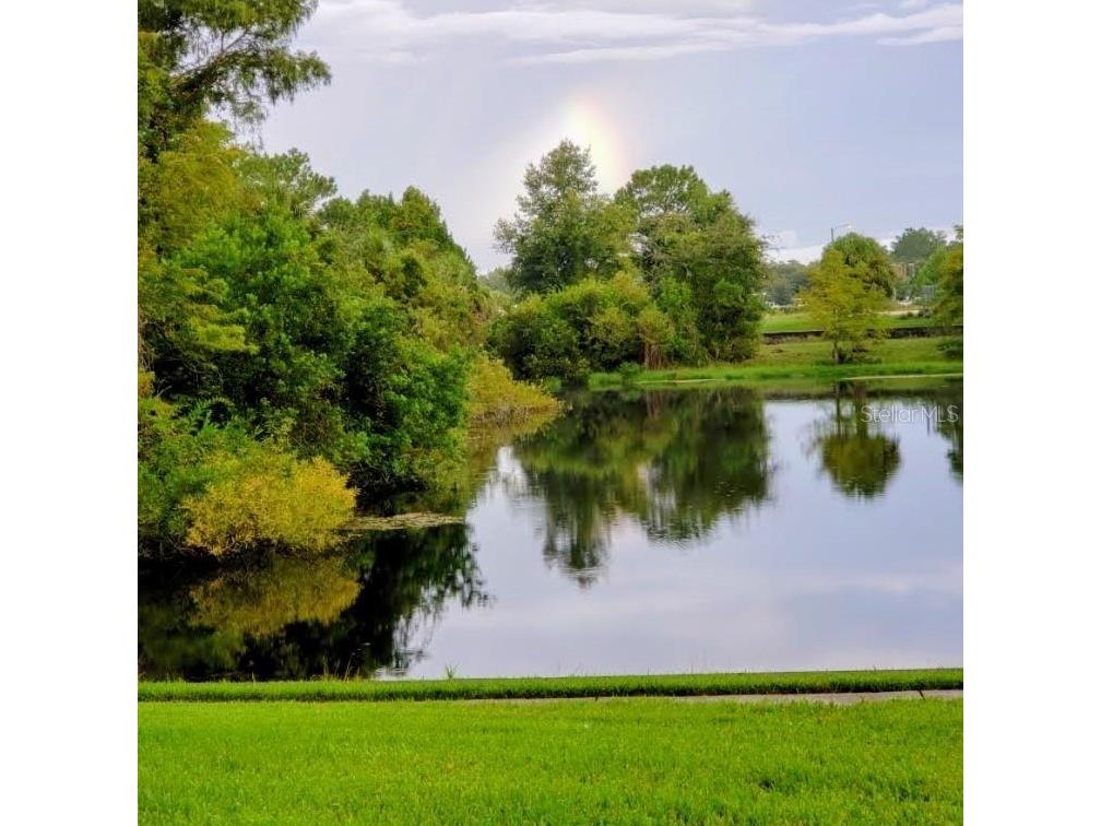 7737 Eureka Drive #203 Hudson FL 34667 W7882522 image1