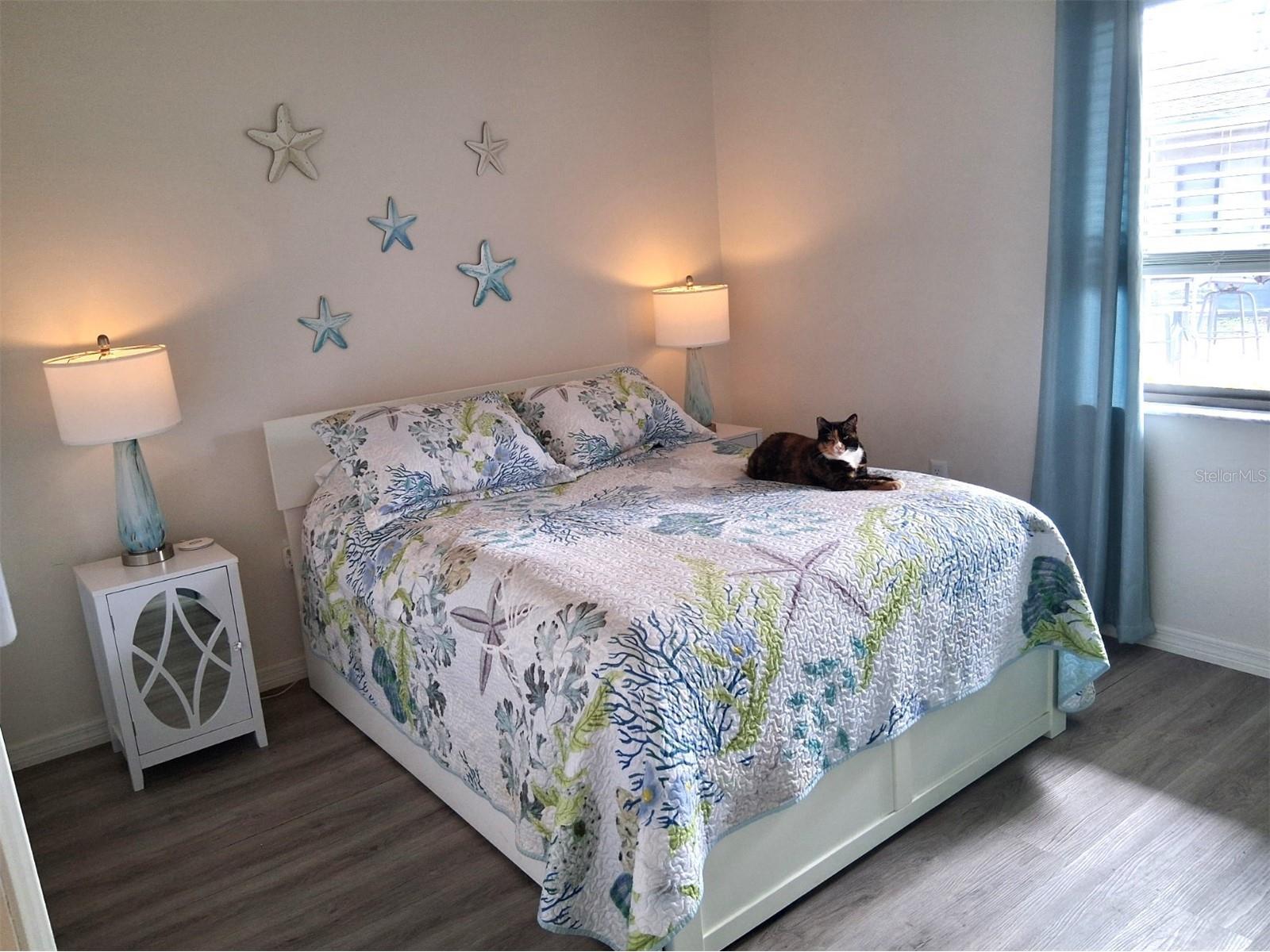 7737 Eureka Drive #203 Hudson FL 34667 W7882522 image14