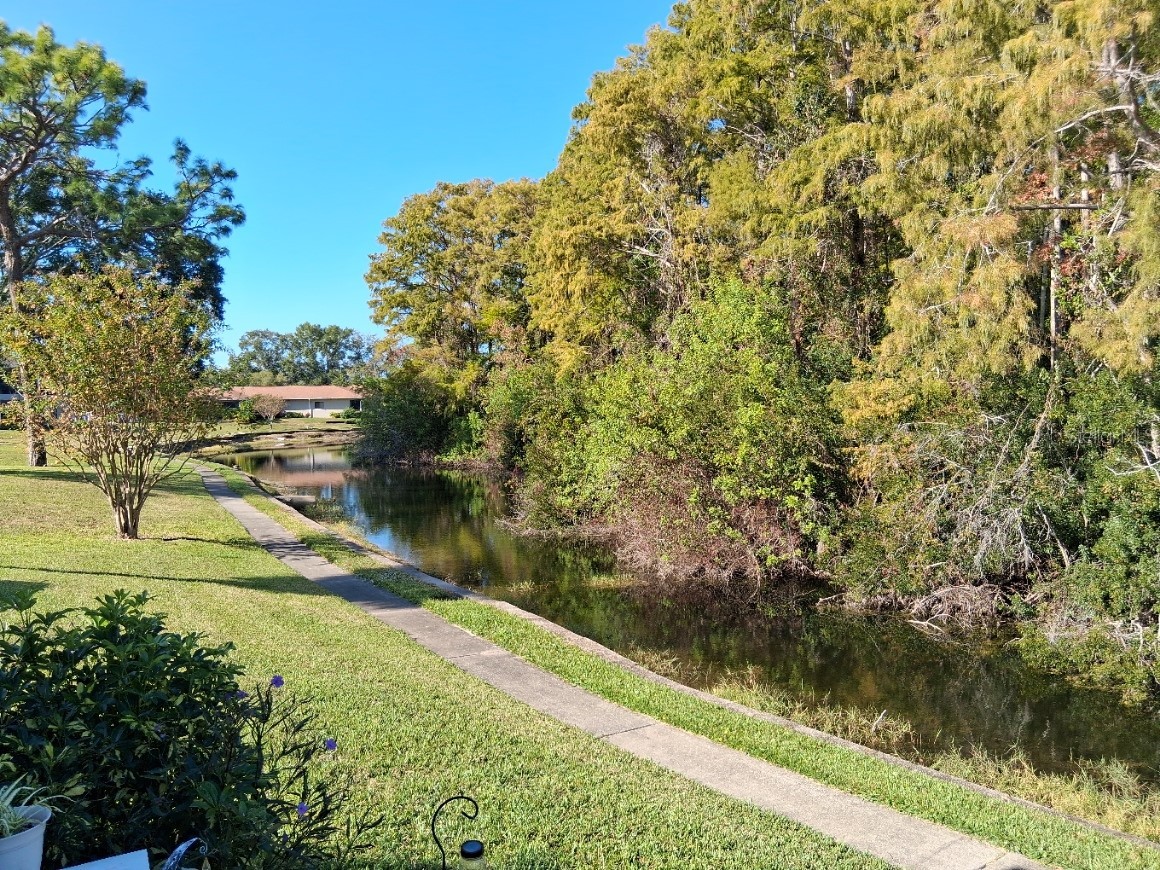 7737 Eureka Drive #203 Hudson FL 34667 W7882522 image22