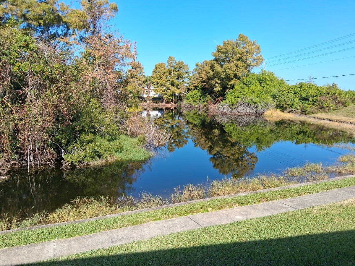 7737 Eureka Drive #203 Hudson FL 34667 W7882522 image23