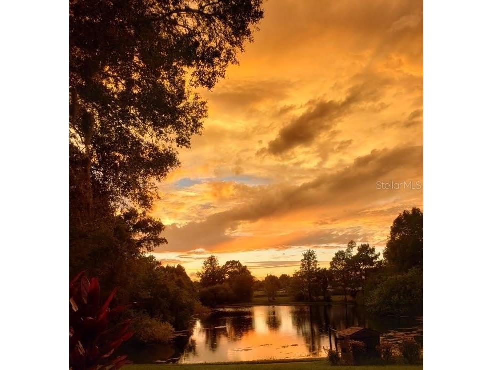 7737 Eureka Drive #203 Hudson FL 34667 W7882522 image24