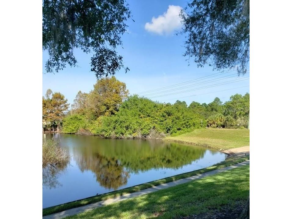 7737 Eureka Drive #203 Hudson FL 34667 W7882522 image25