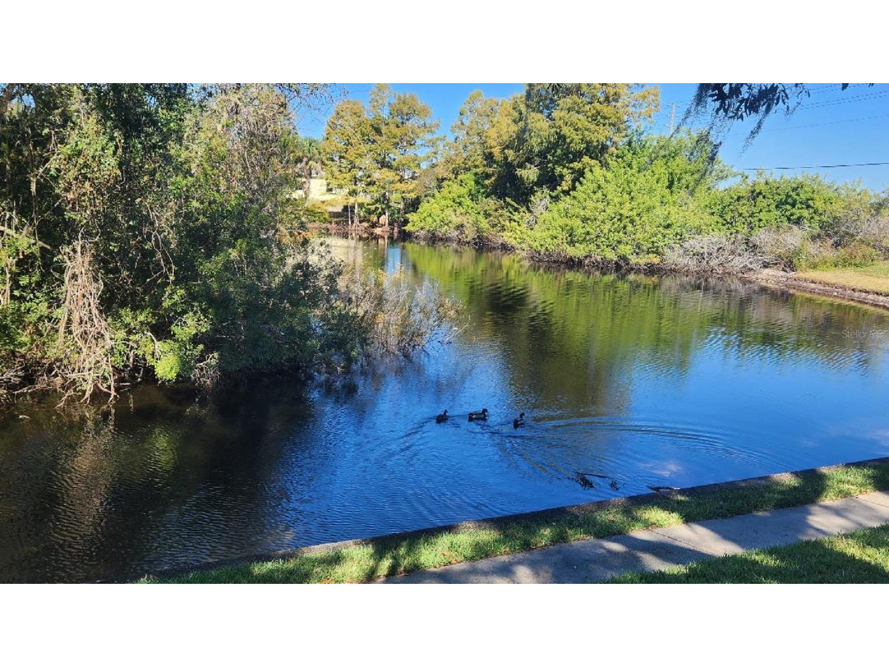 7737 Eureka Drive #203 Hudson FL 34667 W7882522 image26