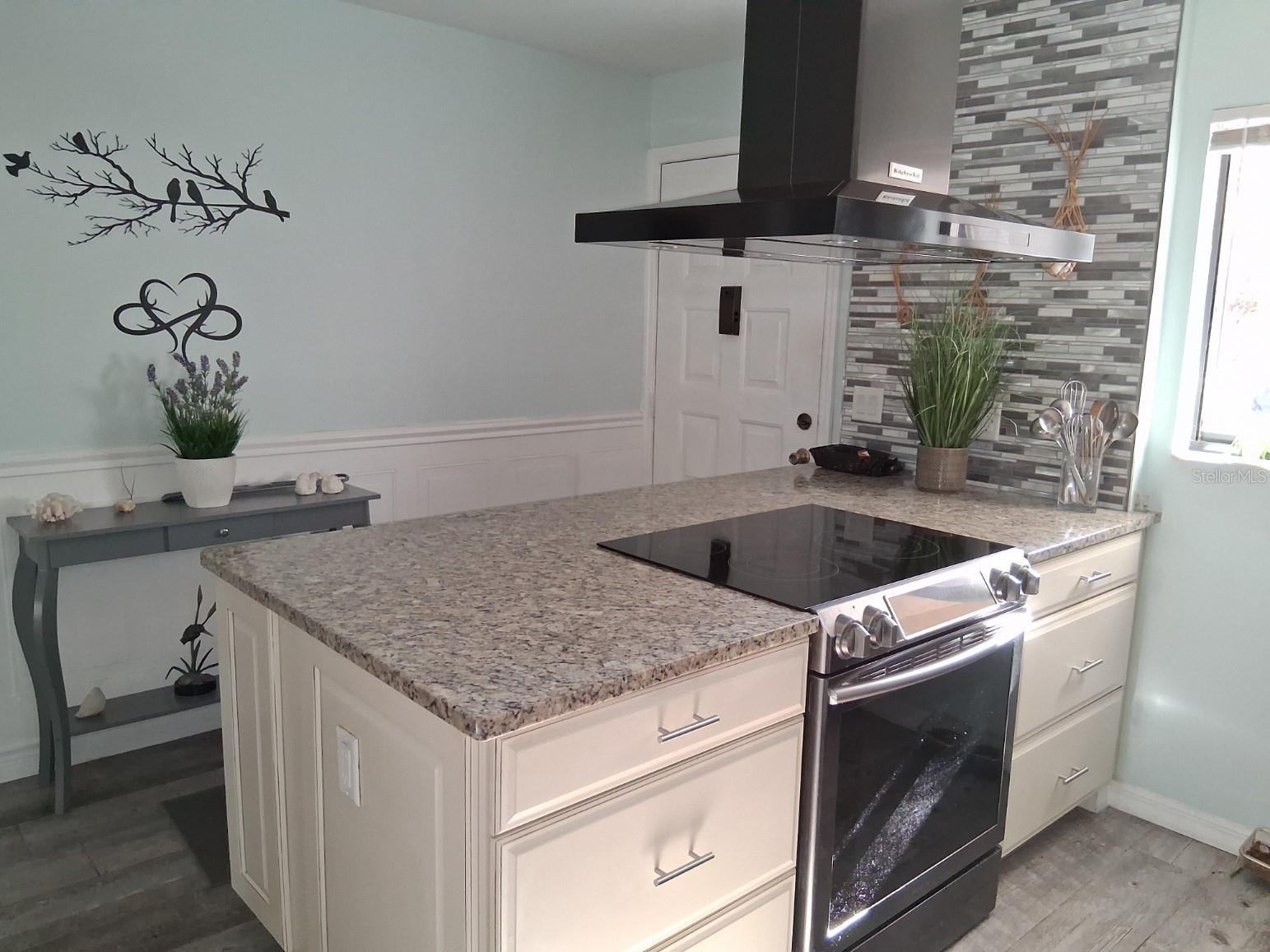 7737 Eureka Drive #203 Hudson FL 34667 W7882522 image4