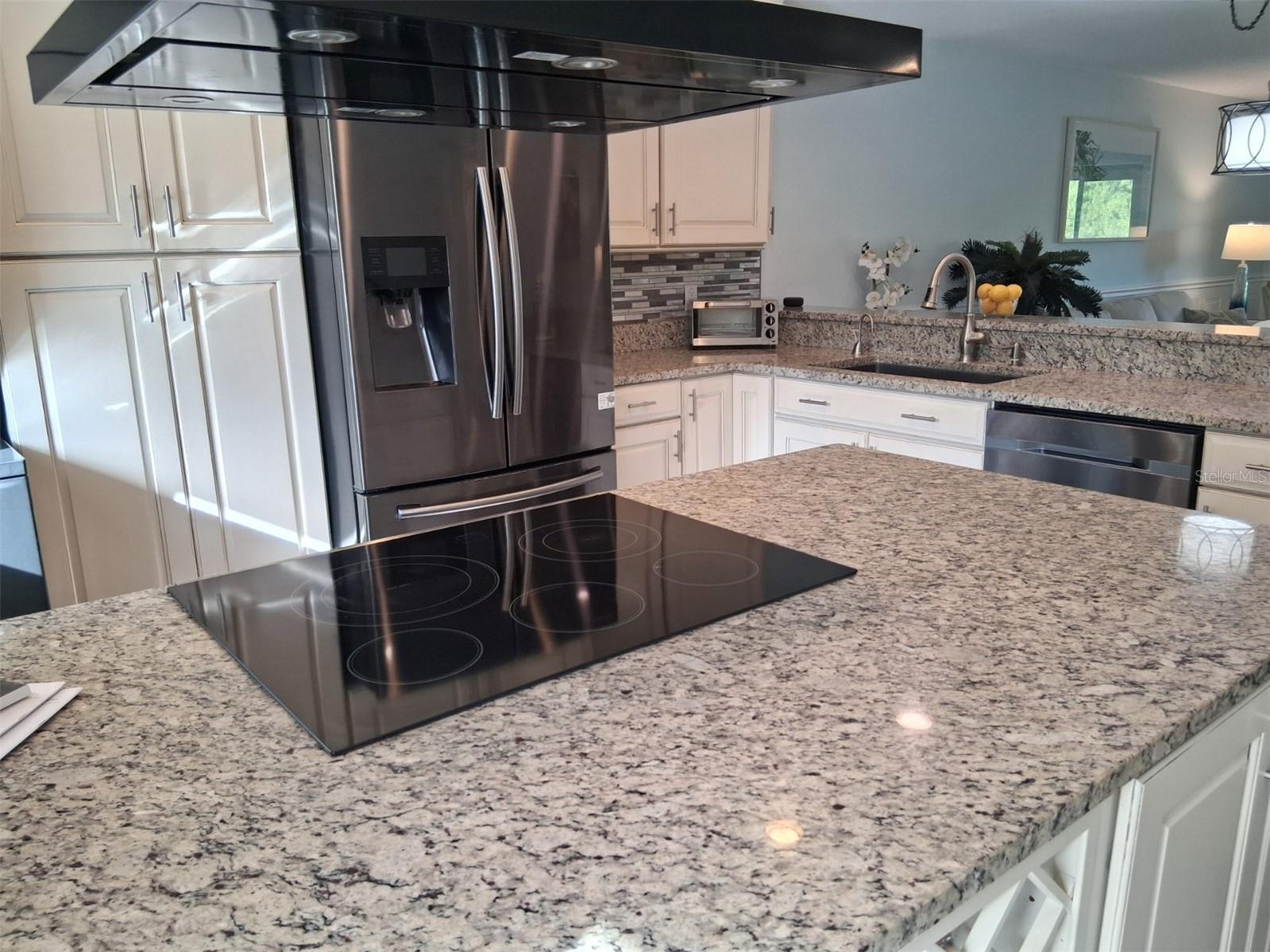 7737 Eureka Drive #203 Hudson FL 34667 W7882522 image5