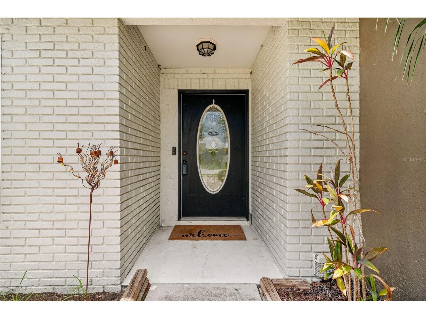 7737 Jenner Avenue New Port Richey FL 34655 W7887379 image2