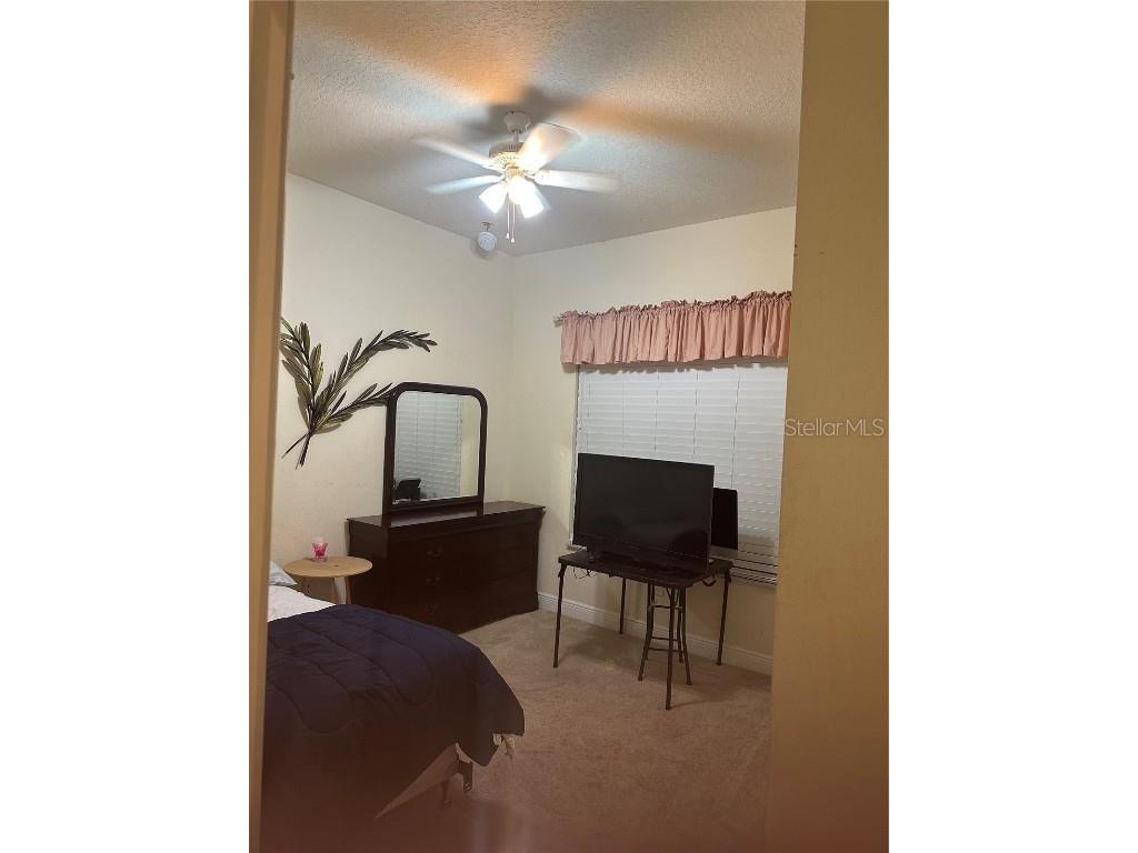 7739 Seafield Lane Wesley Chapel FL 33545 TB8450807 image10