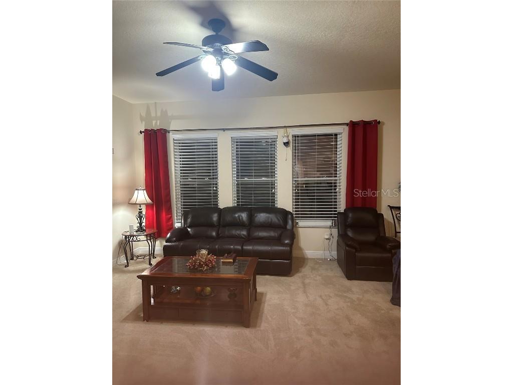 7739 Seafield Lane Wesley Chapel FL 33545 TB8450807 image6