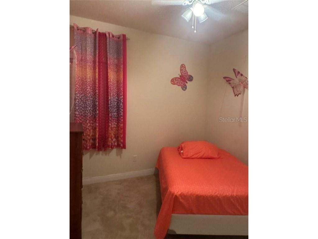 7739 Seafield Lane Wesley Chapel FL 33545 TB8450807 image9