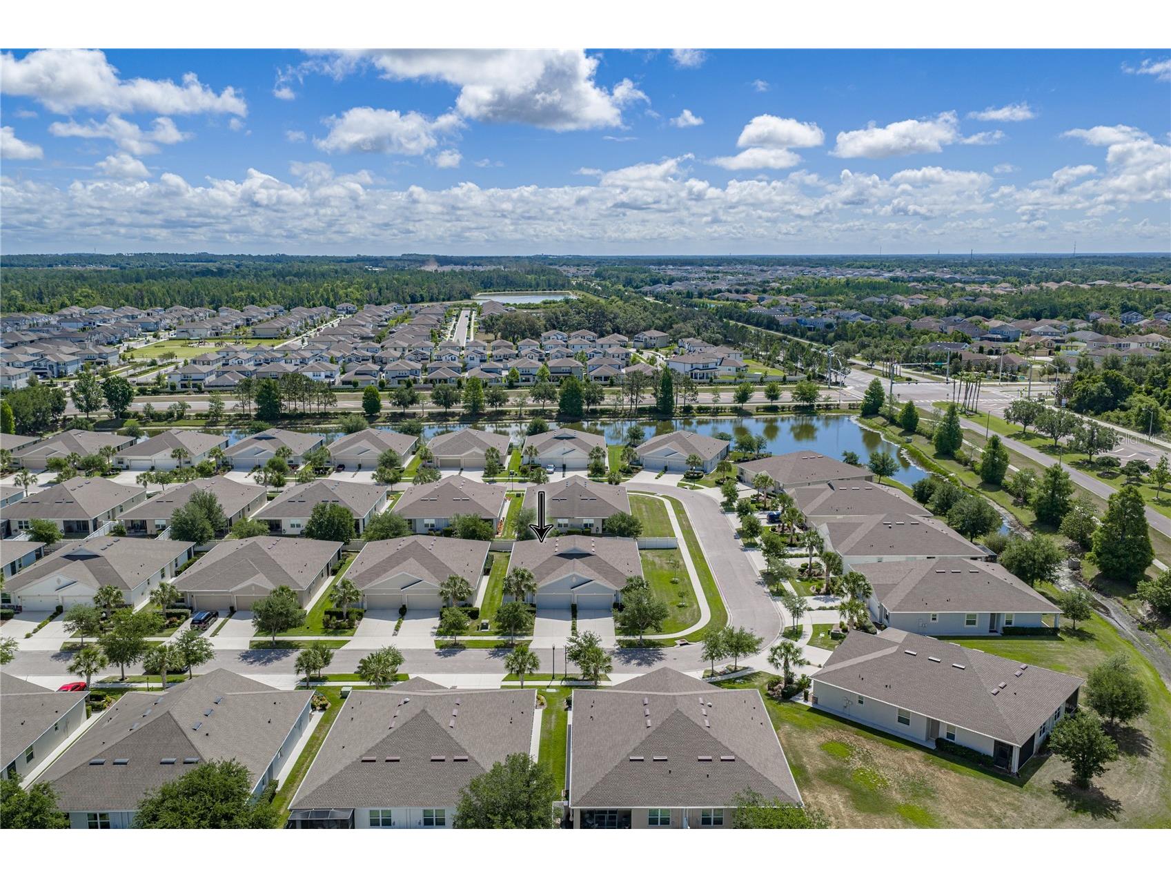 7739 Timberview Loop Wesley Chapel FL 33545 TB8508623 image2