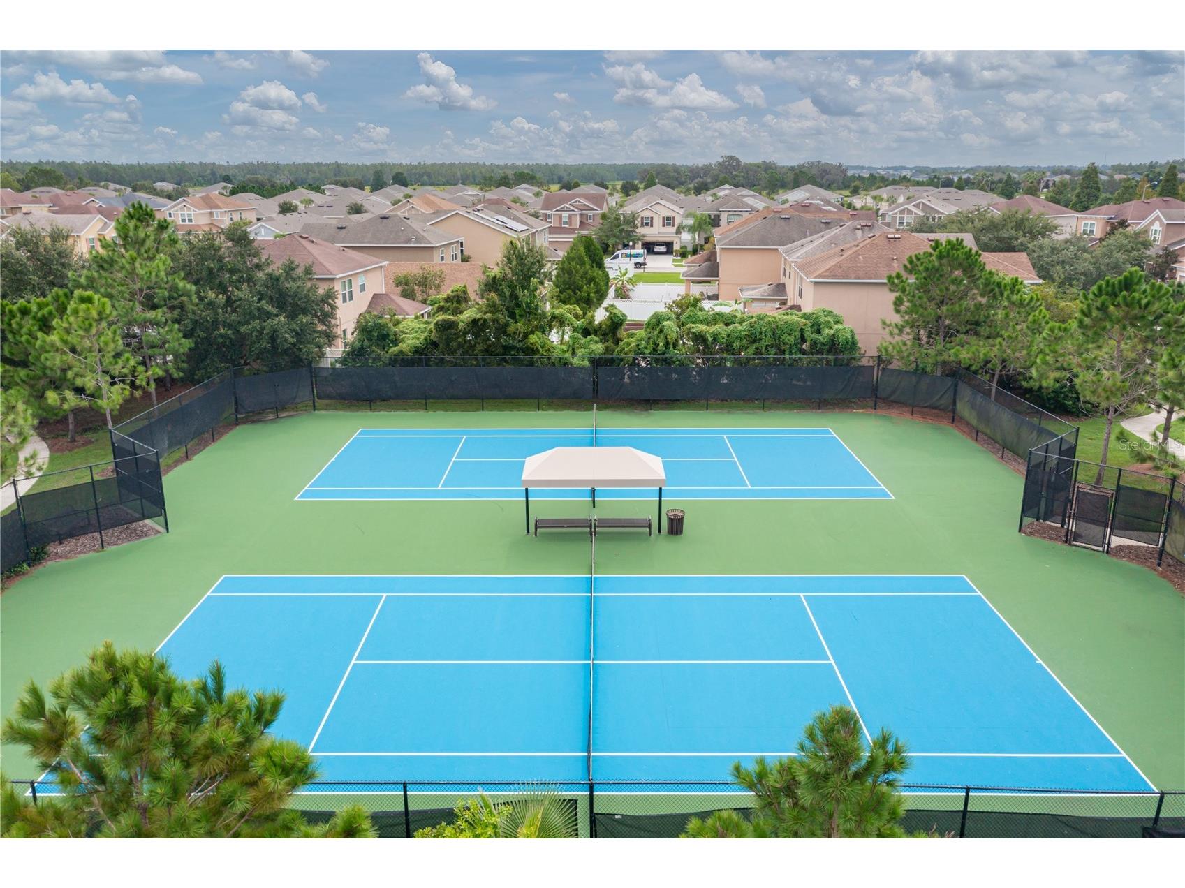 7739 Timberview Loop Wesley Chapel FL 33545 TB8508623 image49