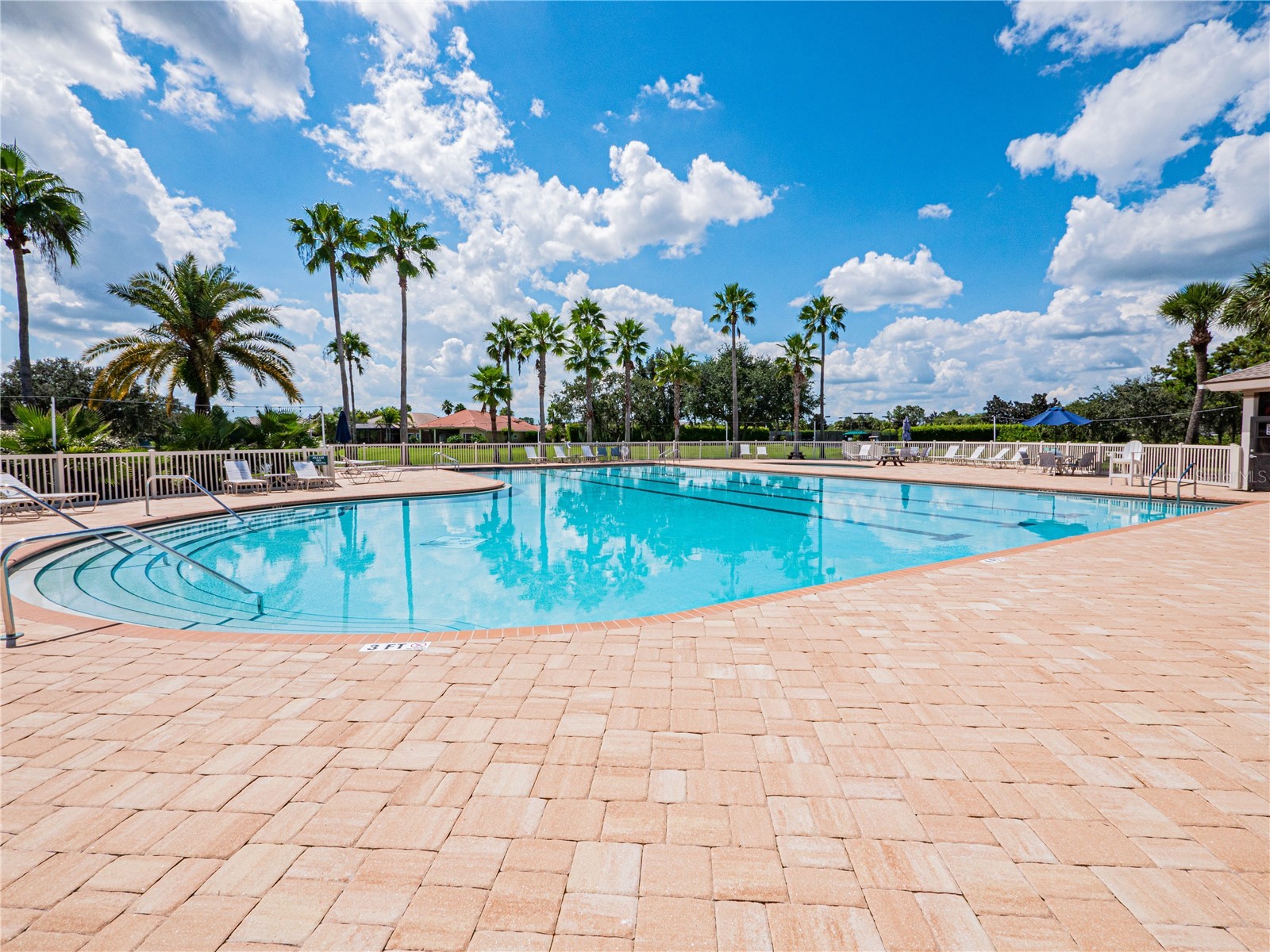 774 Grasslands Village Circle #88 Lakeland FL 33803 L4961036 image36