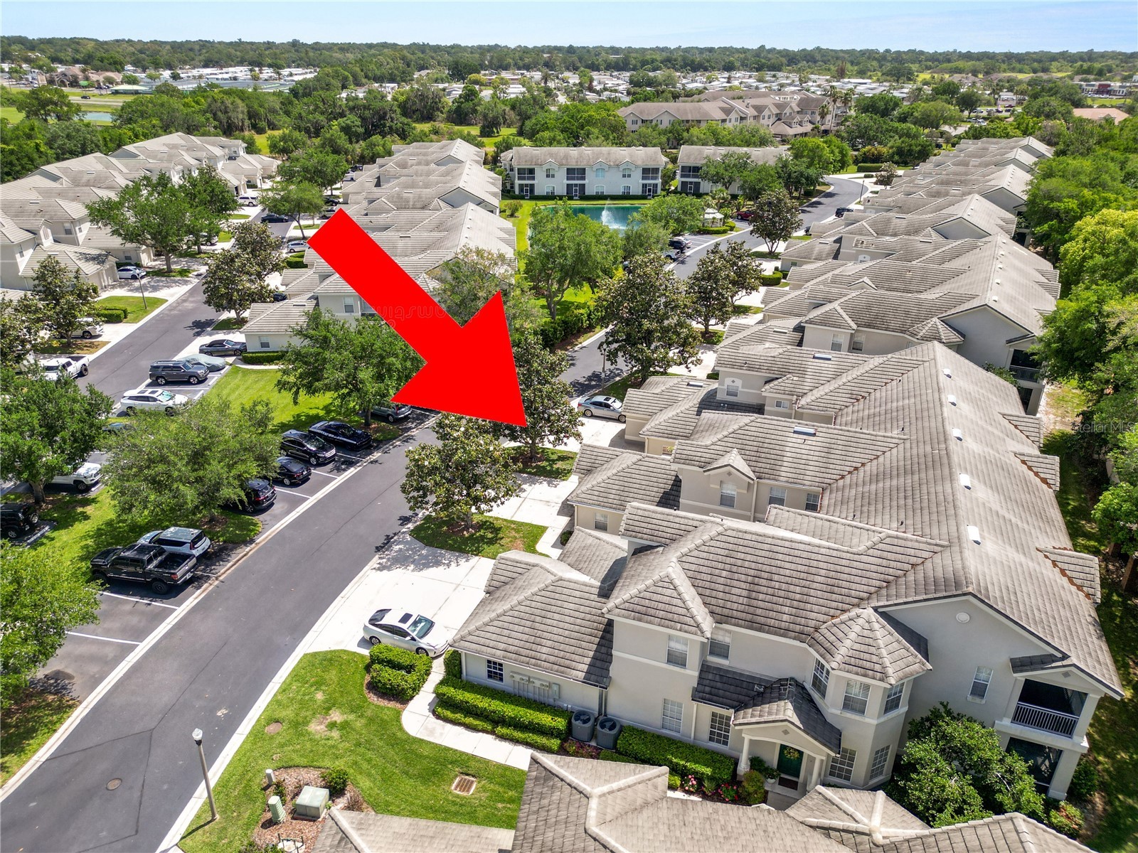 774 Grasslands Village Circle #88 Lakeland FL 33803 L4961036 image50