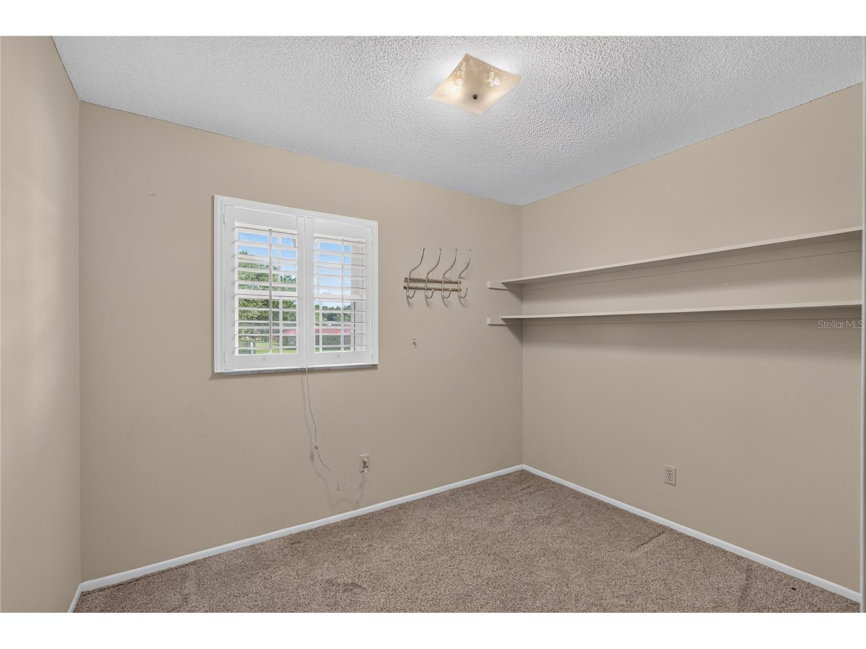 774 Schopke Lester Rd Apopka FL 32712 G5113418 image25