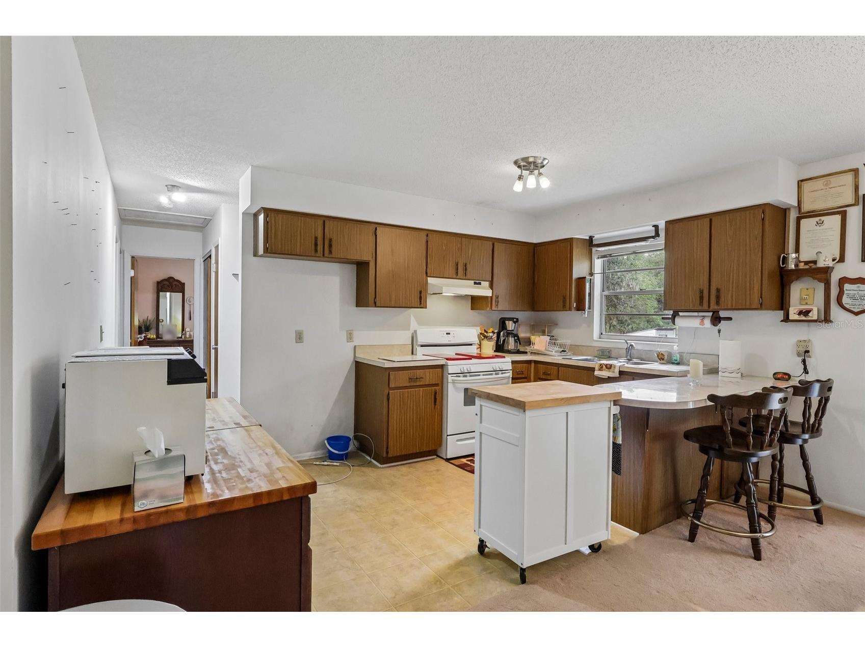 774 SE 116th Lane Webster FL 33597 G5112401 image14