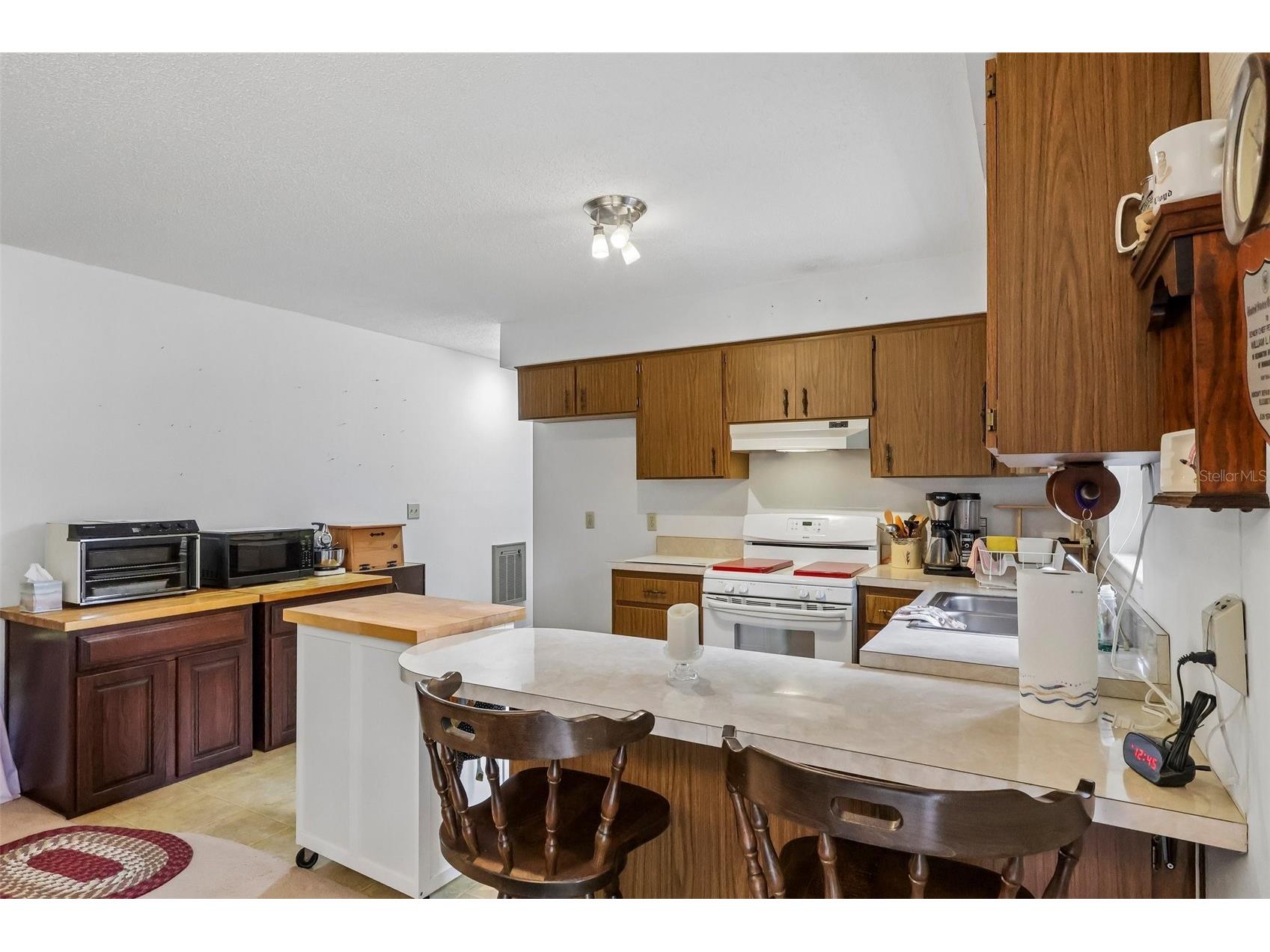 774 SE 116th Lane Webster FL 33597 G5112401 image15