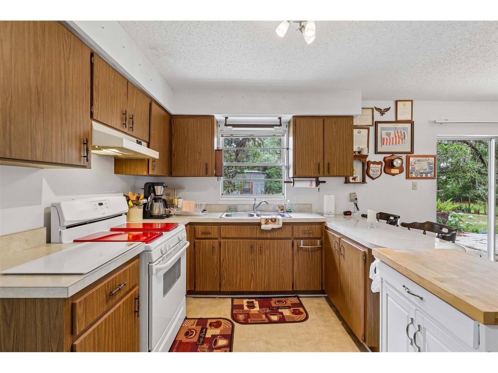 774 SE 116th Lane Webster FL 33597 G5112401 image17