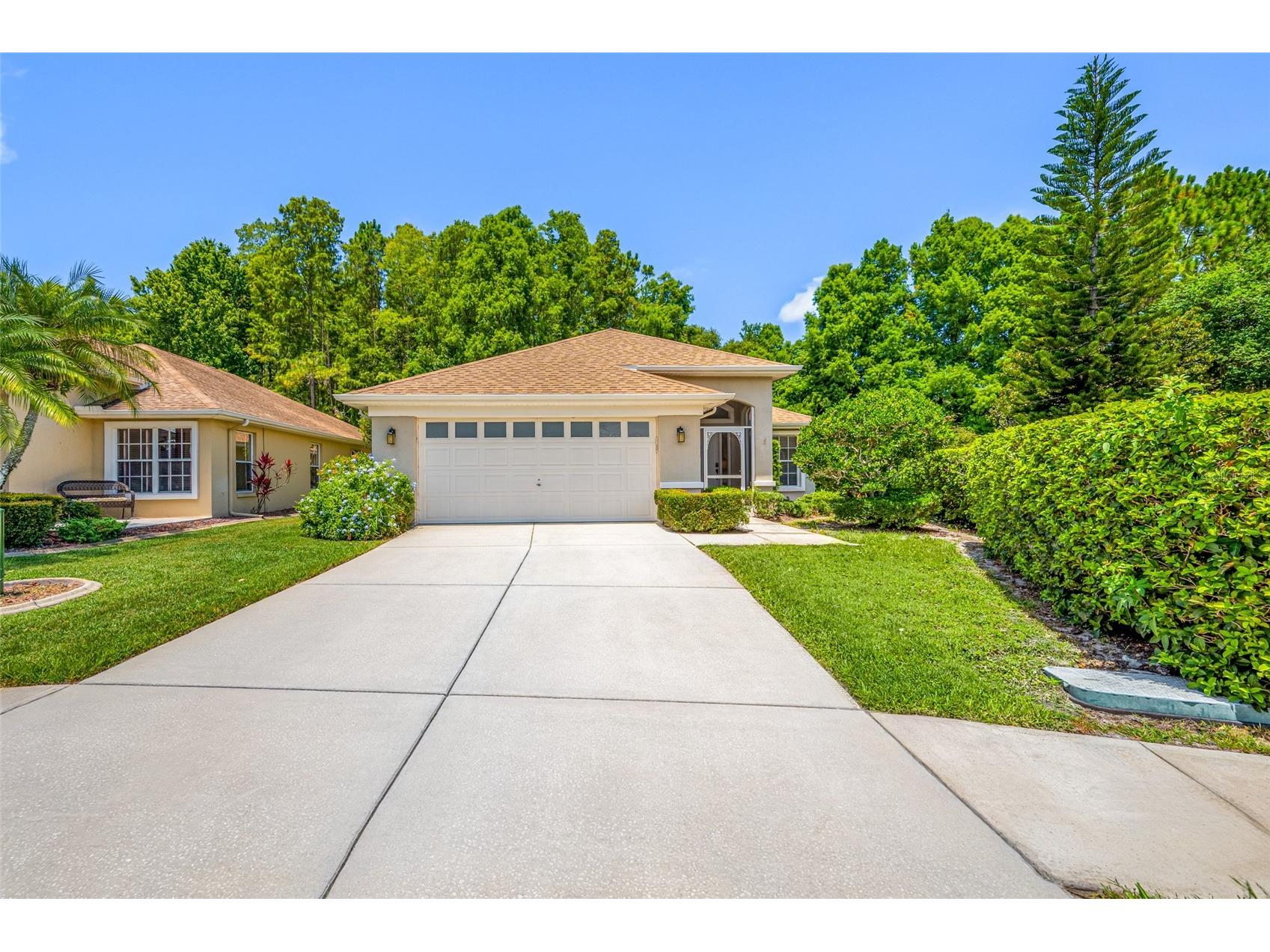 7740 Craighurst Loop Trinity FL 34655 TB8516047 image4