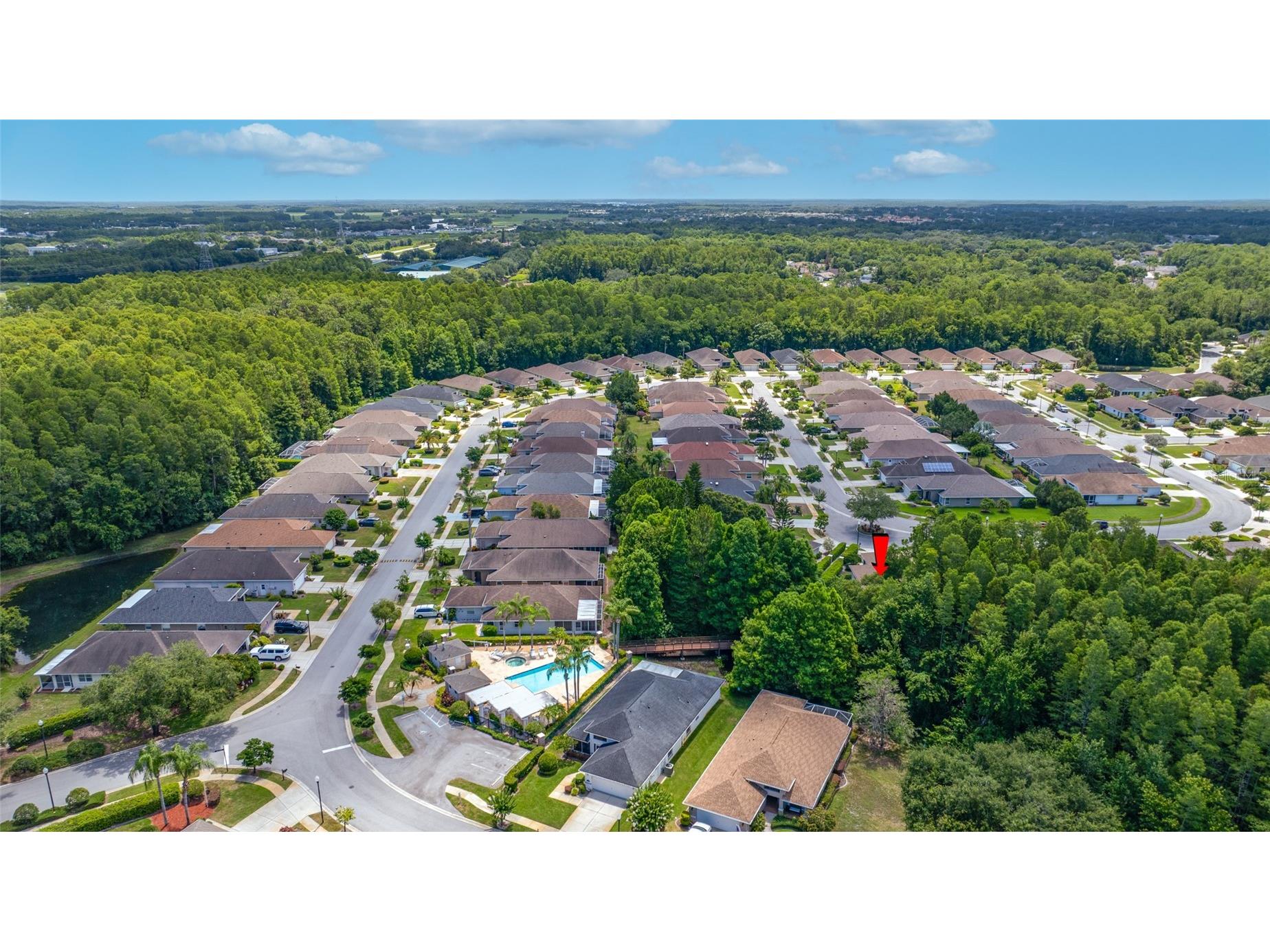 7740 Craighurst Loop Trinity FL 34655 TB8516047 image42