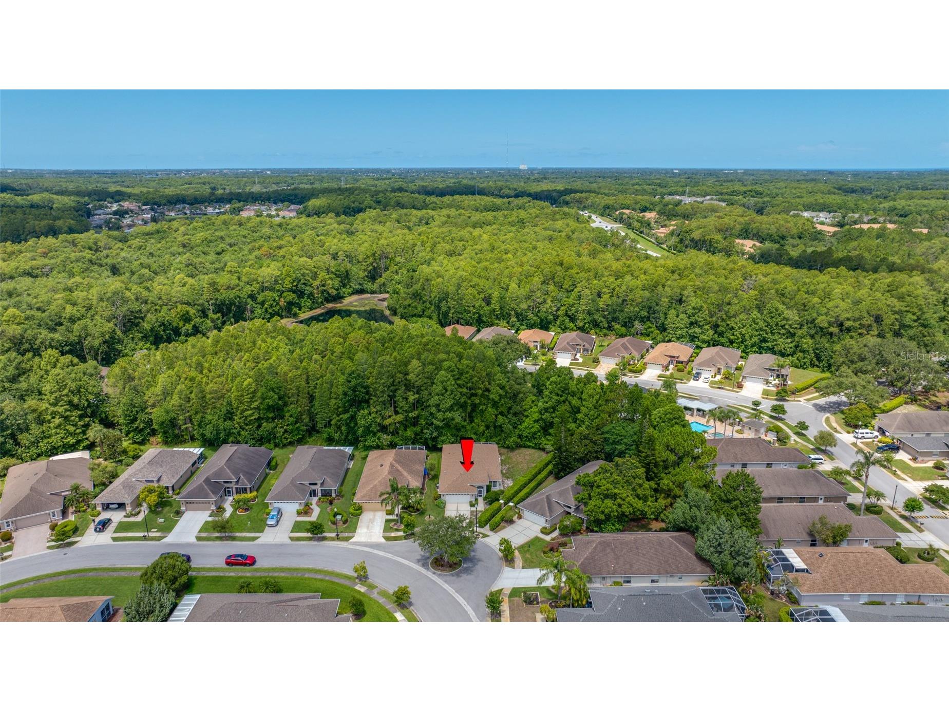 7740 Craighurst Loop Trinity FL 34655 TB8516047 image47