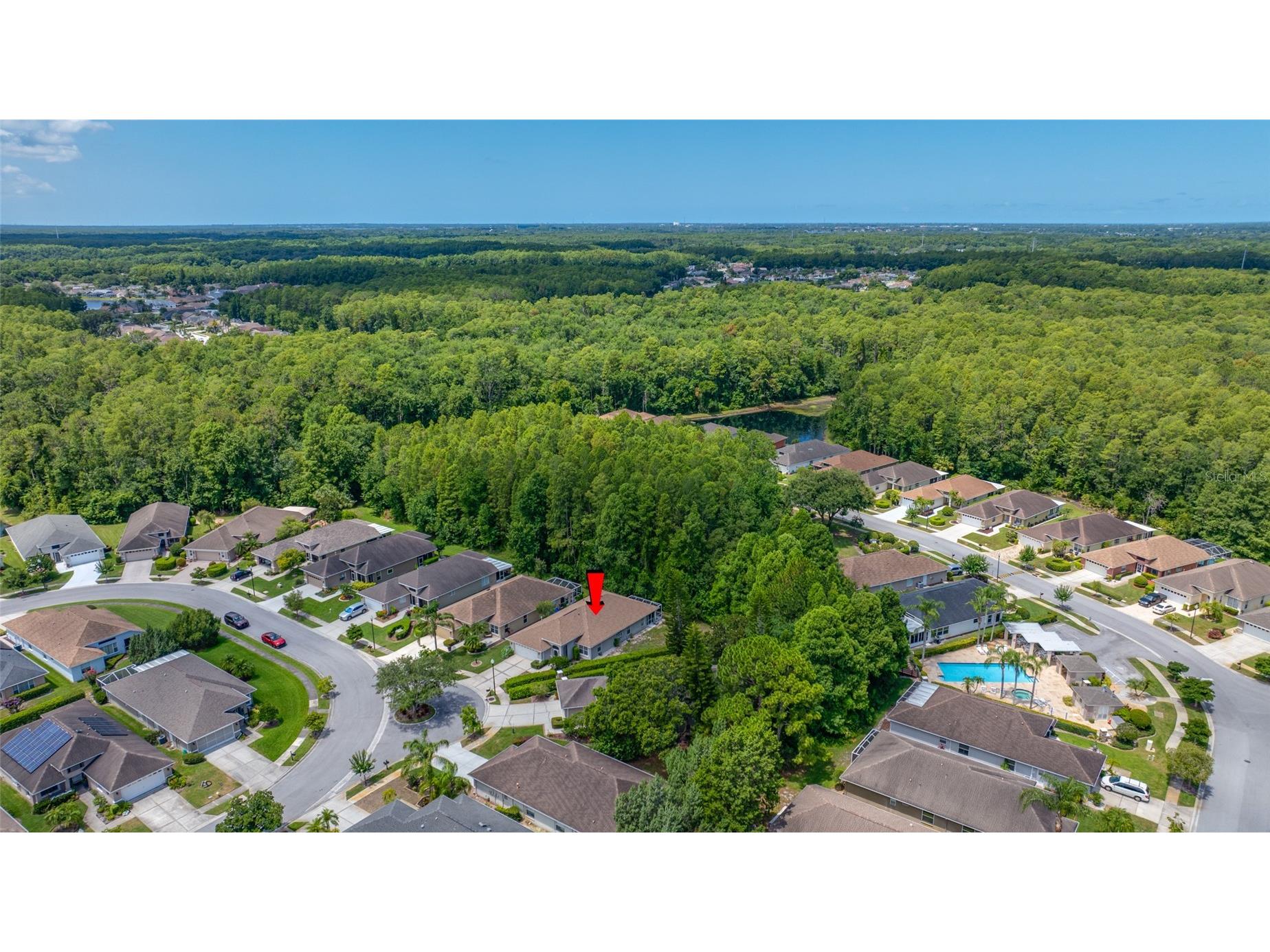 7740 Craighurst Loop Trinity FL 34655 TB8516047 image48