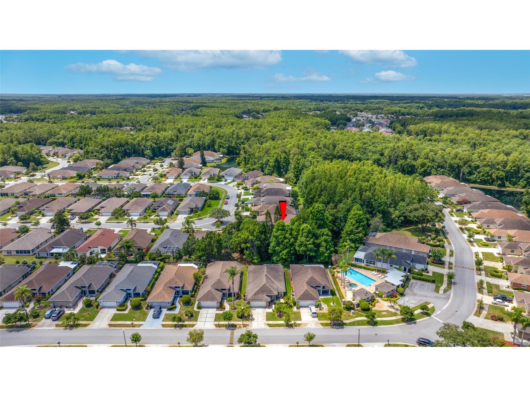 7740 Craighurst Loop Trinity FL 34655 TB8516047 image49