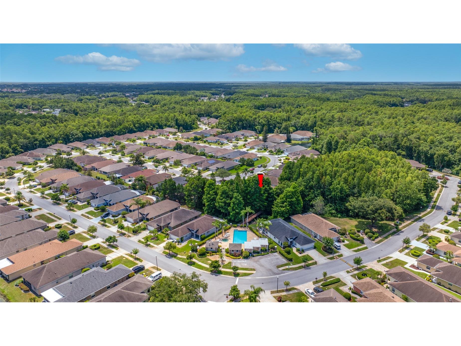 7740 Craighurst Loop Trinity FL 34655 TB8516047 image50