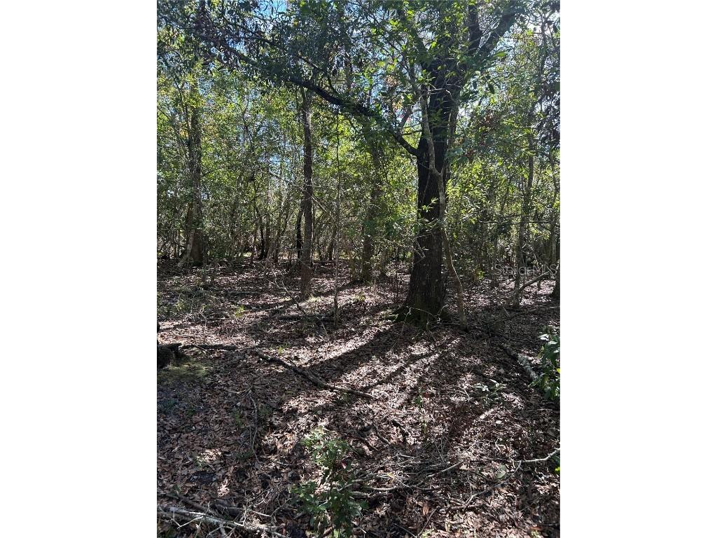 7740 E Smoke Trail Inverness FL 34453 - WITHLACOOCHHE RIVER W7881004 image4