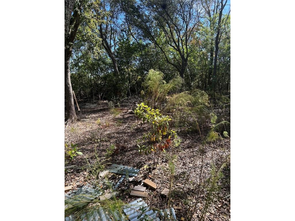 7740 E Smoke Trail Inverness FL 34453 - WITHLACOOCHHE RIVER W7881004 image7