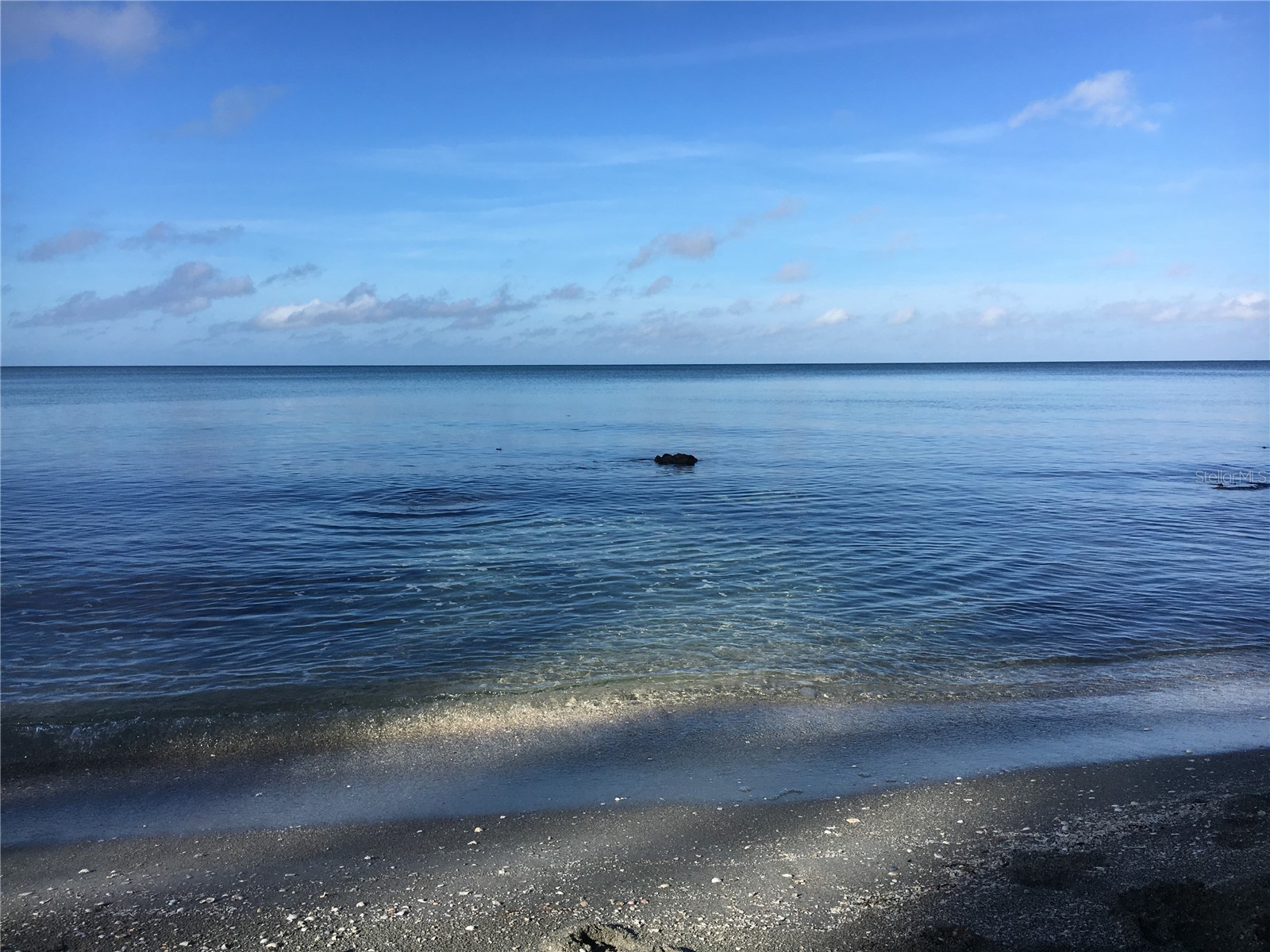 7740 Sanderling Road Sarasota FL 34242 - GULF OF MEXICO A4697623 image1